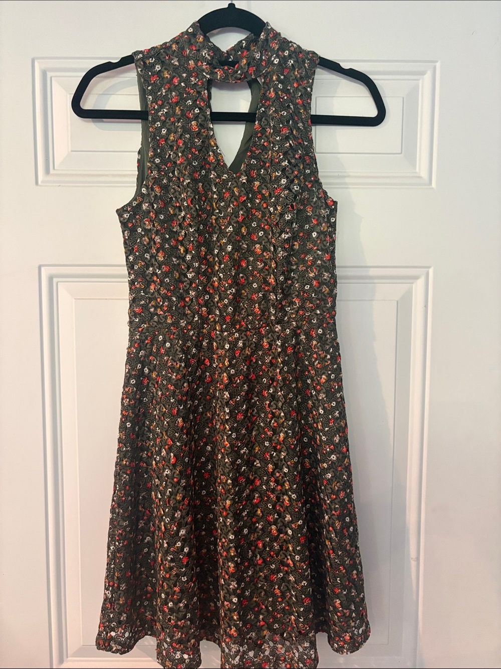 Sleeveless Floral Fit & Flare Dress - Olive with Red Flowers